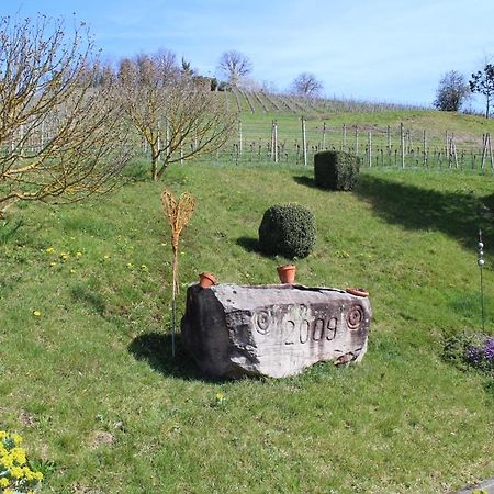 Ferienwohnung Am Weinberg Oberkirch  Buitenkant foto