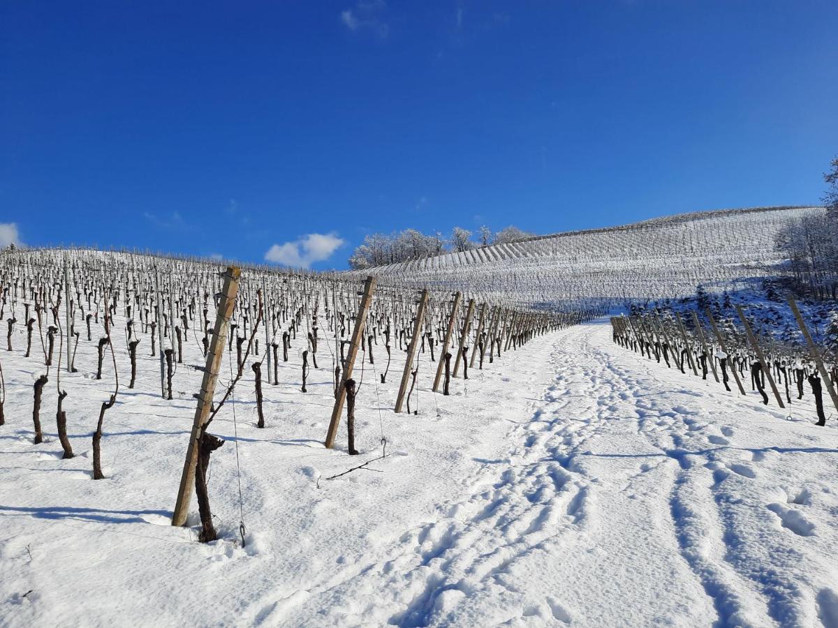 Ferienwohnung Am Weinberg Oberkirch  Buitenkant foto