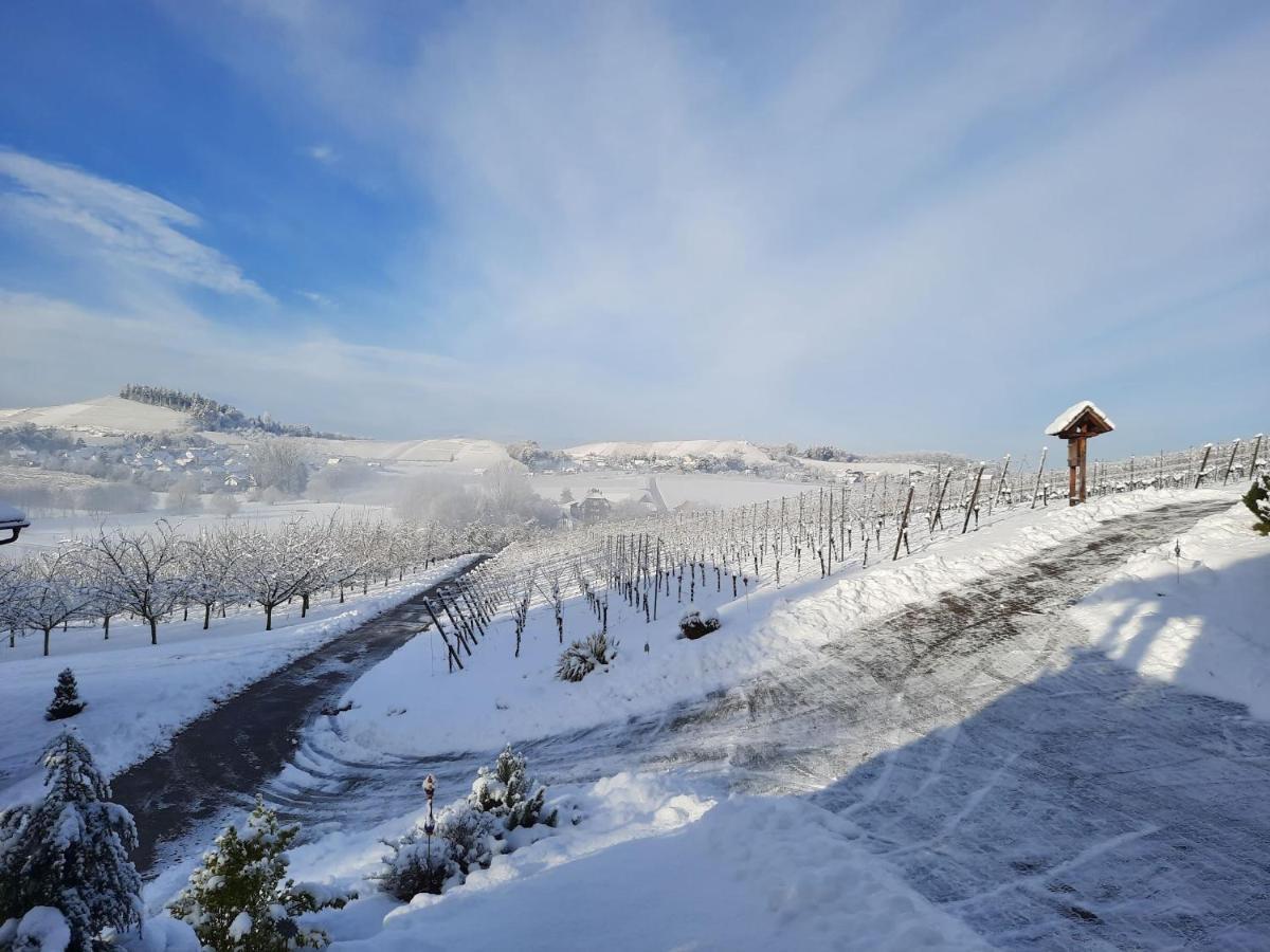 Ferienwohnung Am Weinberg Oberkirch  Buitenkant foto