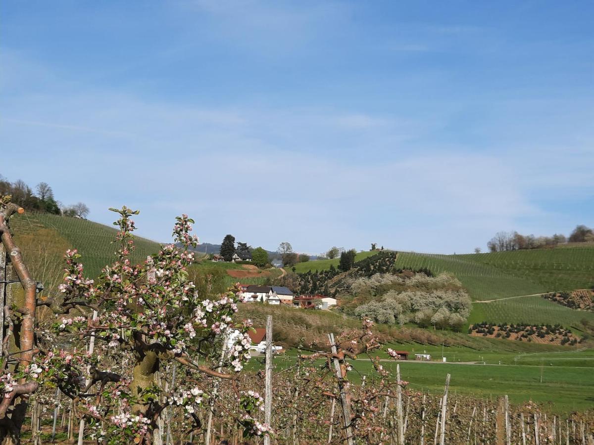 Ferienwohnung Am Weinberg Oberkirch  Buitenkant foto